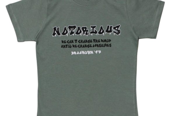 Καλοκαιρινή Κοντομάνικη Μπλούζα Αγοριού – Λαδί